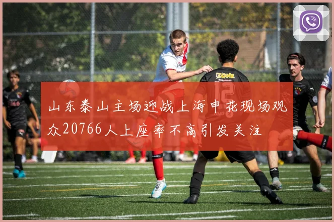 山东泰山主场迎战上海申花现场观众20766人上座率不高引发关注